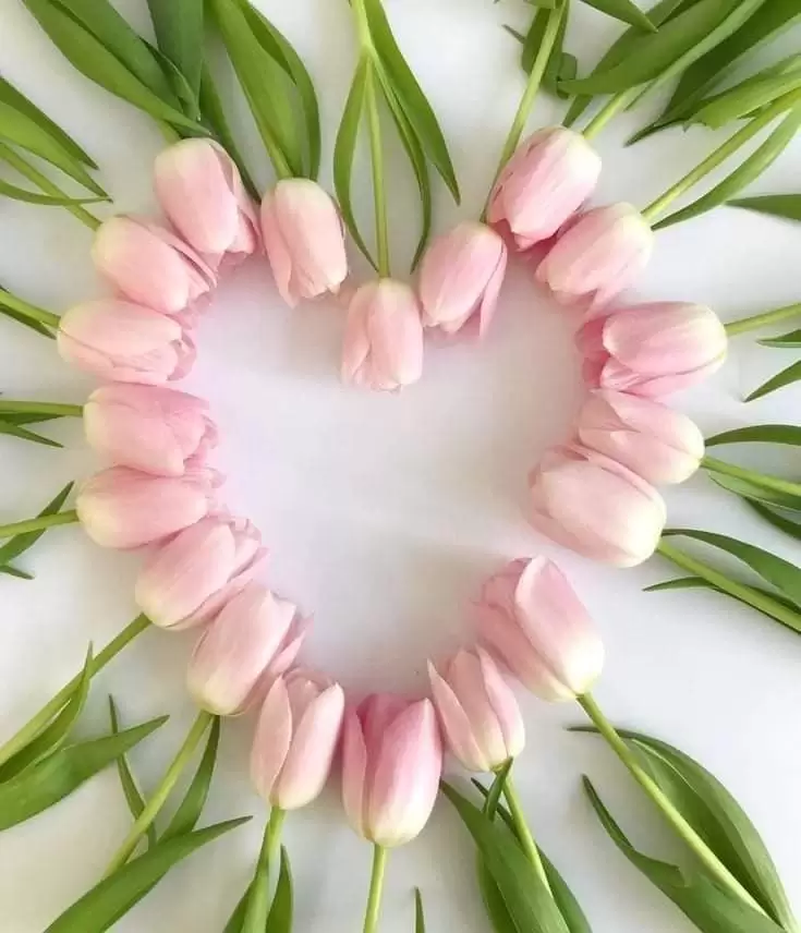 BAO GIỜ TRỞ LẠI NGÀY XƯA
