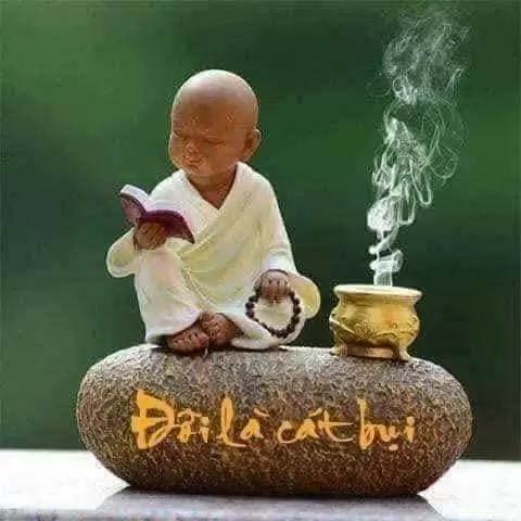 CÁT BỤI (2)