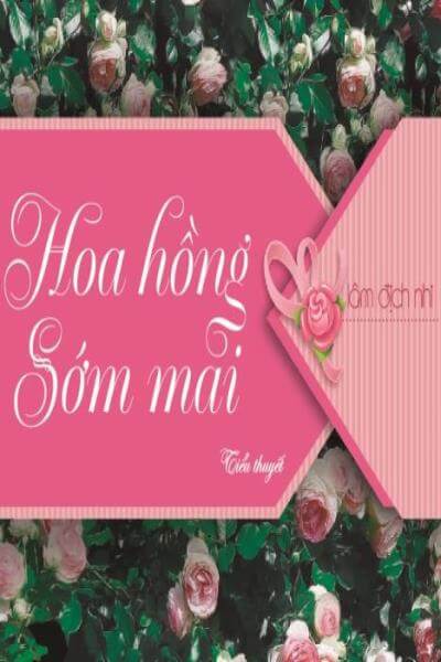 Hoa Hồng Sáng Mai