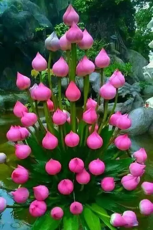 MẸ VÀ EM