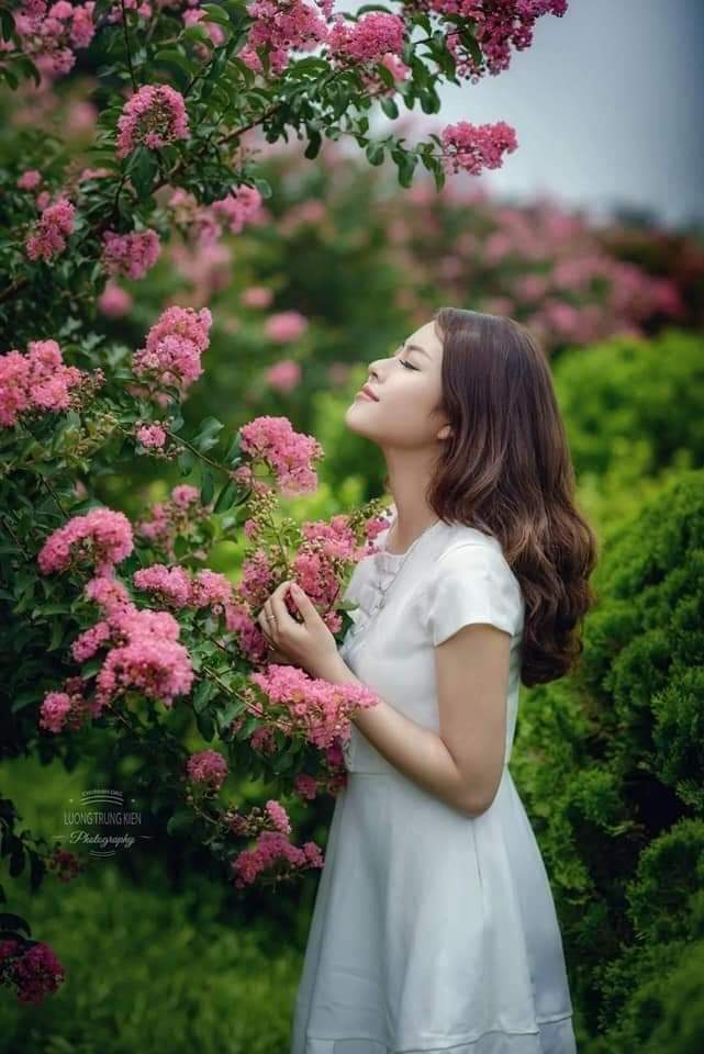 MONG NHỚ NGƯỜI DƯNG