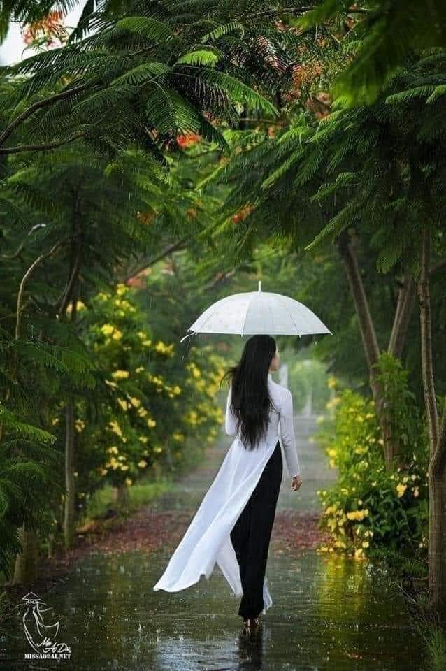 MƯA…