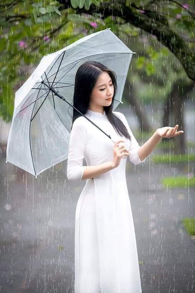 MƯA SÁNG