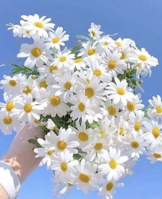 PHẢI HẠNH PHÚC NHÉ NGƯỜI THƯƠNG