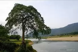 Sông Đuống Ơi!