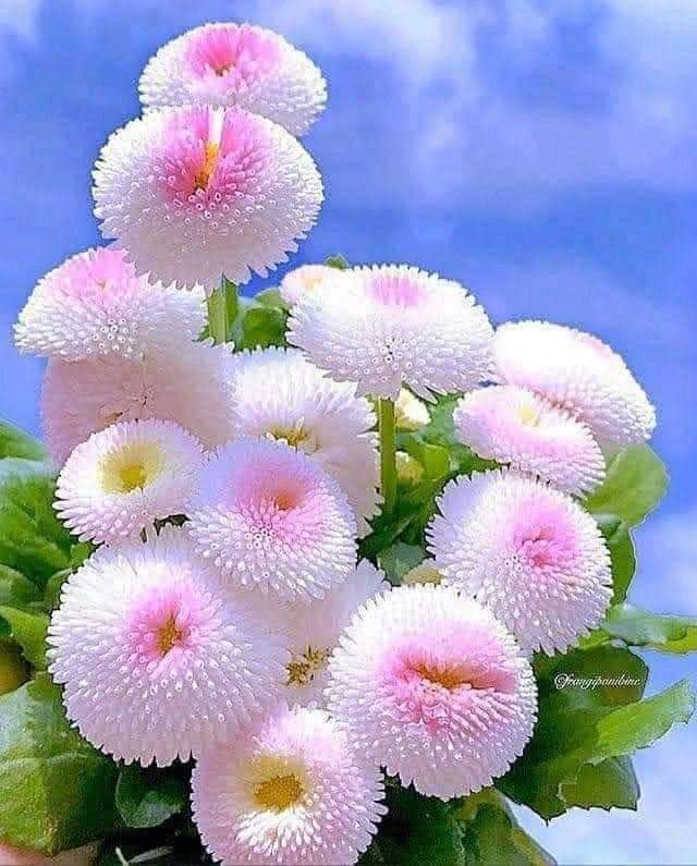 TA CHẲNG CÓ NHAU