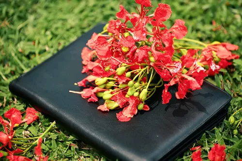 Ve Đã Về Chạm Ngõ