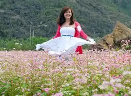 Về Quê Rồi …Còn Muốn Cưới Anh Không?
